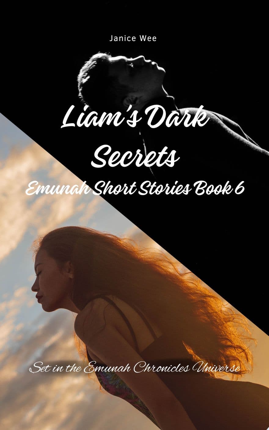 Liam's Dark Secrets book cover - thriller about cunning billionaire church leader during tribulation