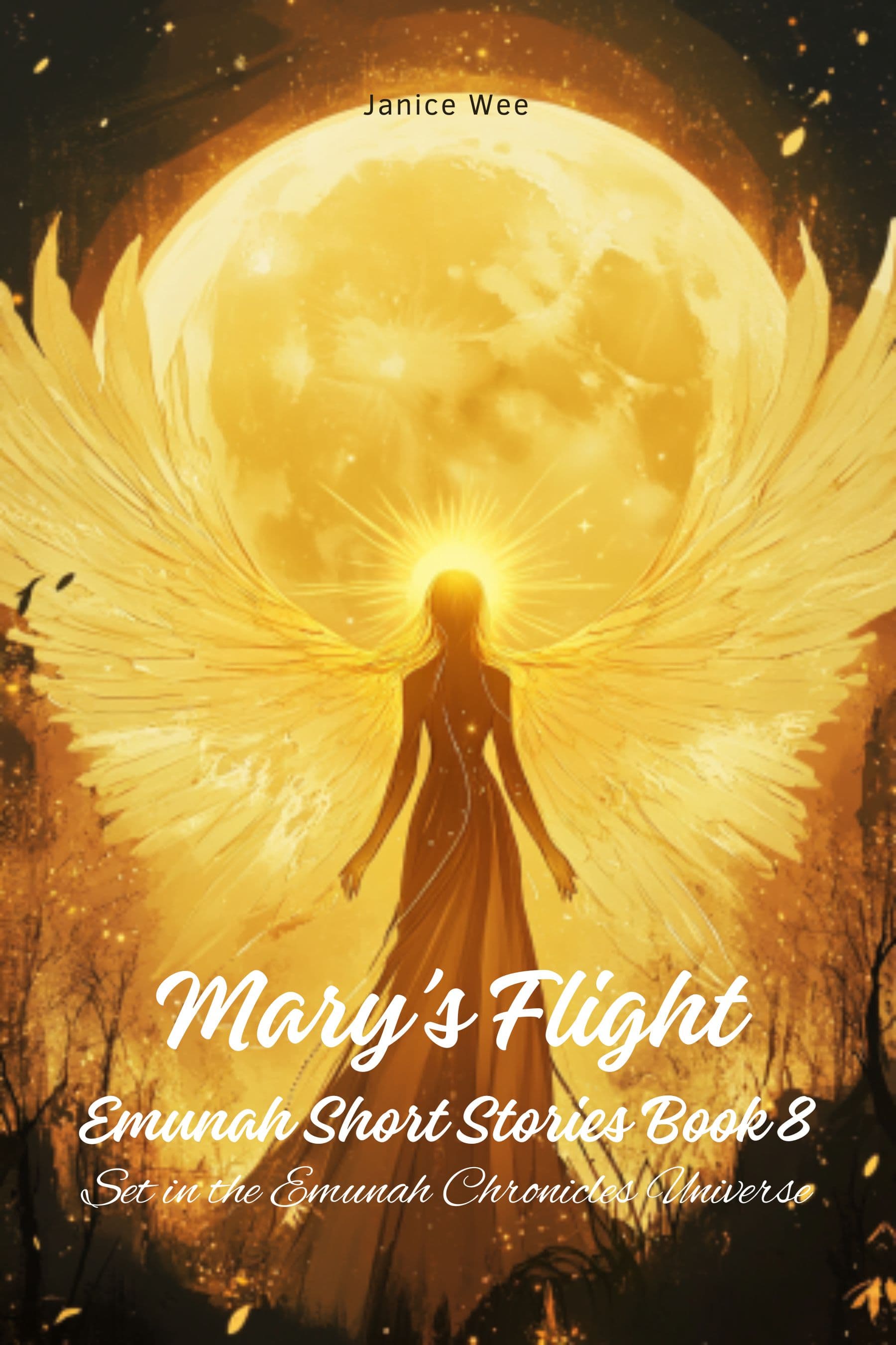Mary's Flight book cover - prophetic story about mysterious woman with eagle's wings